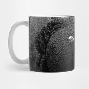 The Living Plague, Conrad Mug